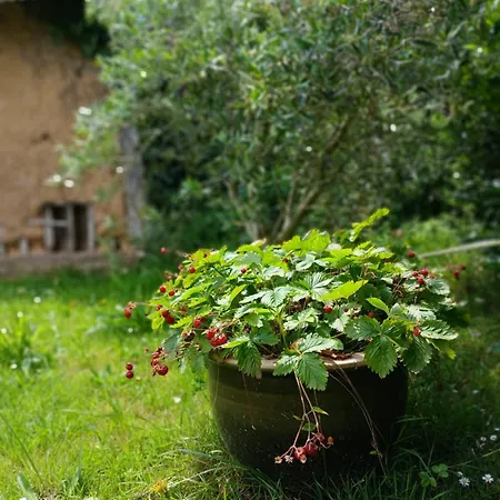 Ferienhaus Les 4 Portes Le Mesnillard