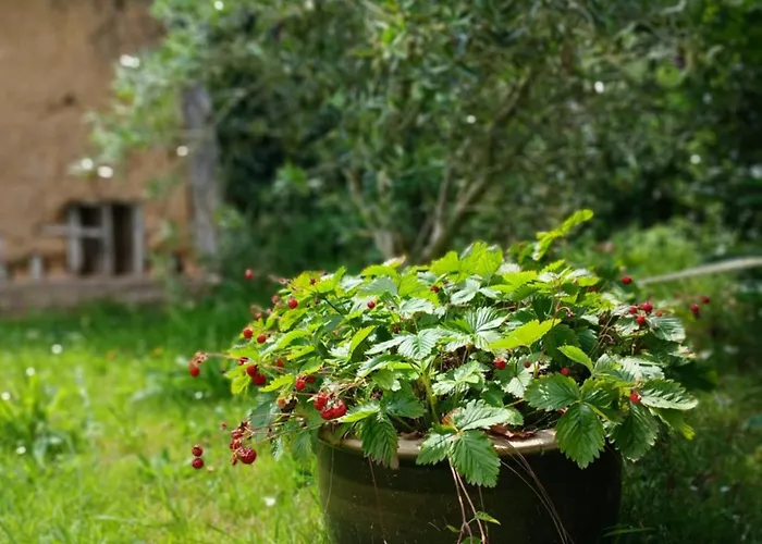 Сasa de vacaciones Les 4 Portes Le Mesnillard